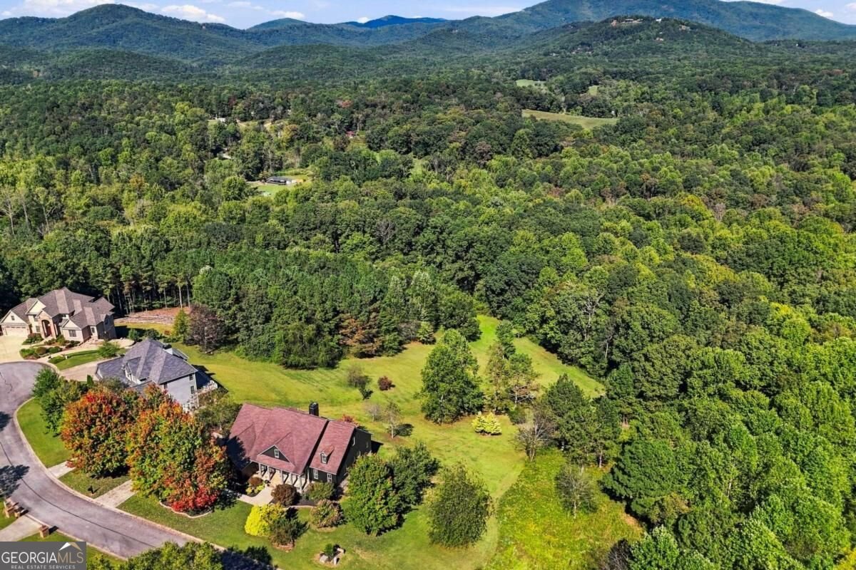 452 Ridgemont Drive Ellijay - Photo 60