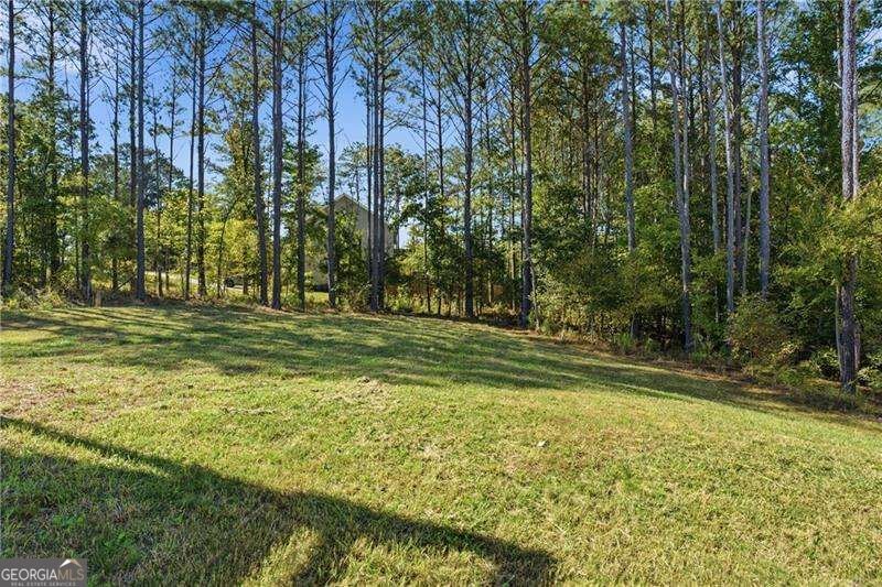 11 Griffin Mill Drive Cartersville - Photo 59