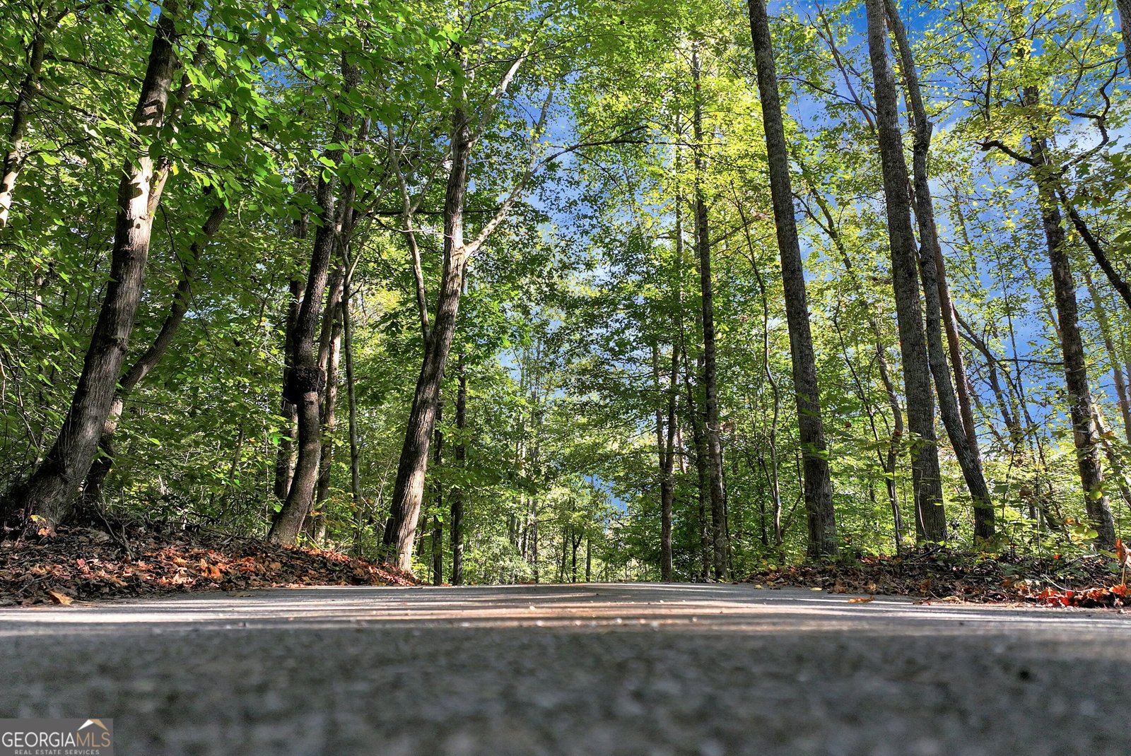 55 Sundown Way Dawsonville - Photo 76