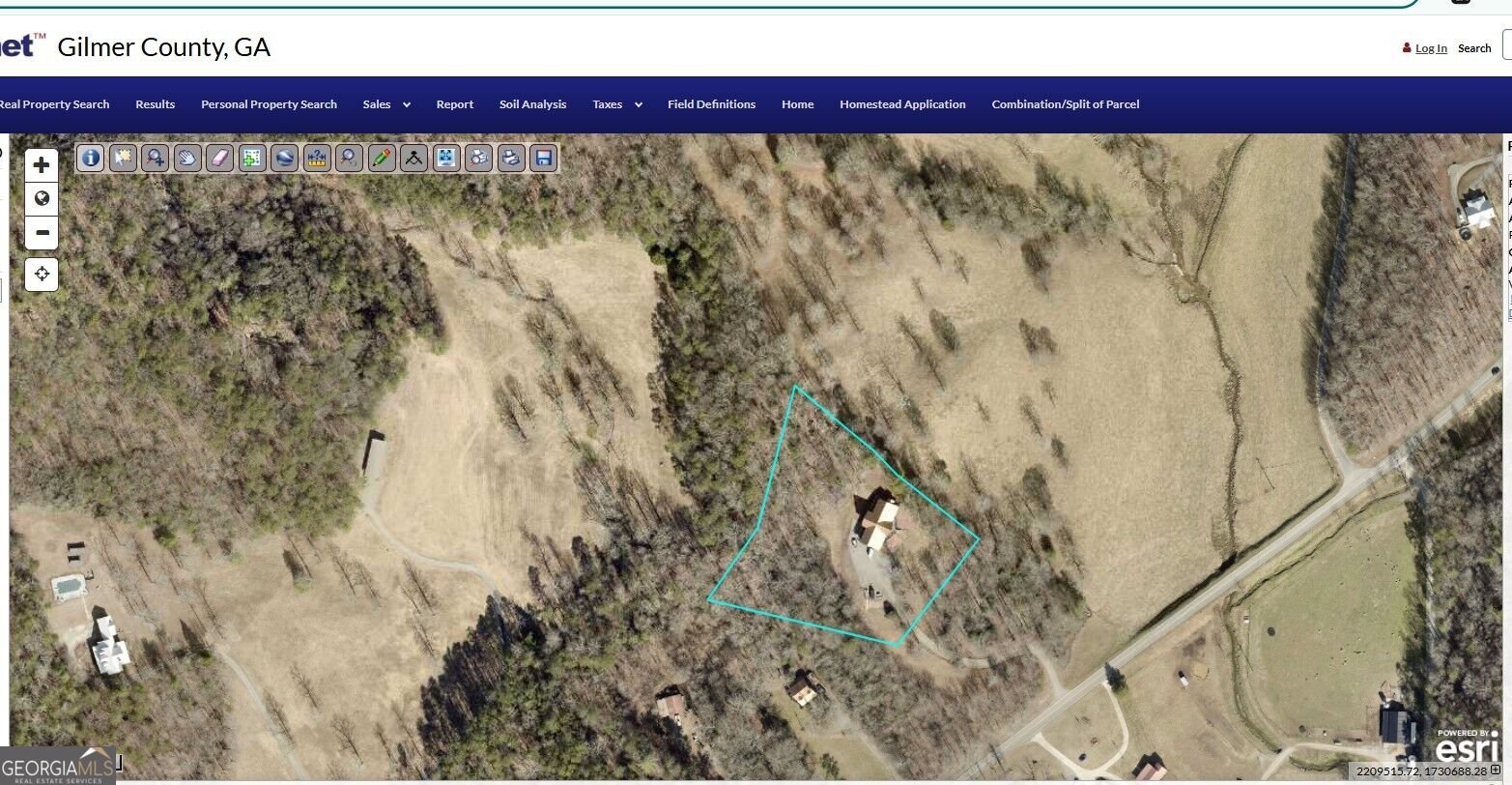 4725 Boardtown Road Ellijay - Photo 58