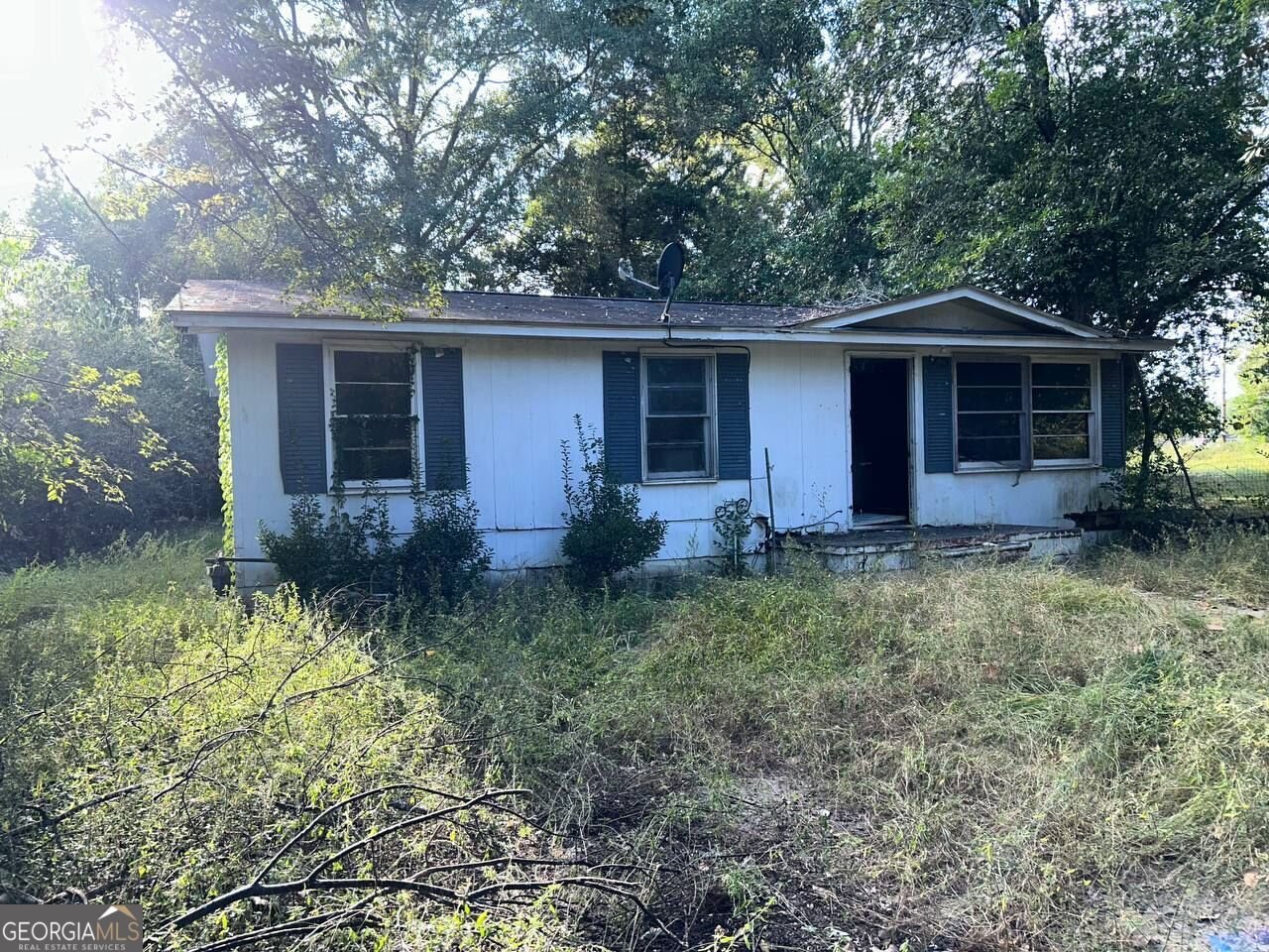 6 Anderson Lane Hawkinsville - main photo