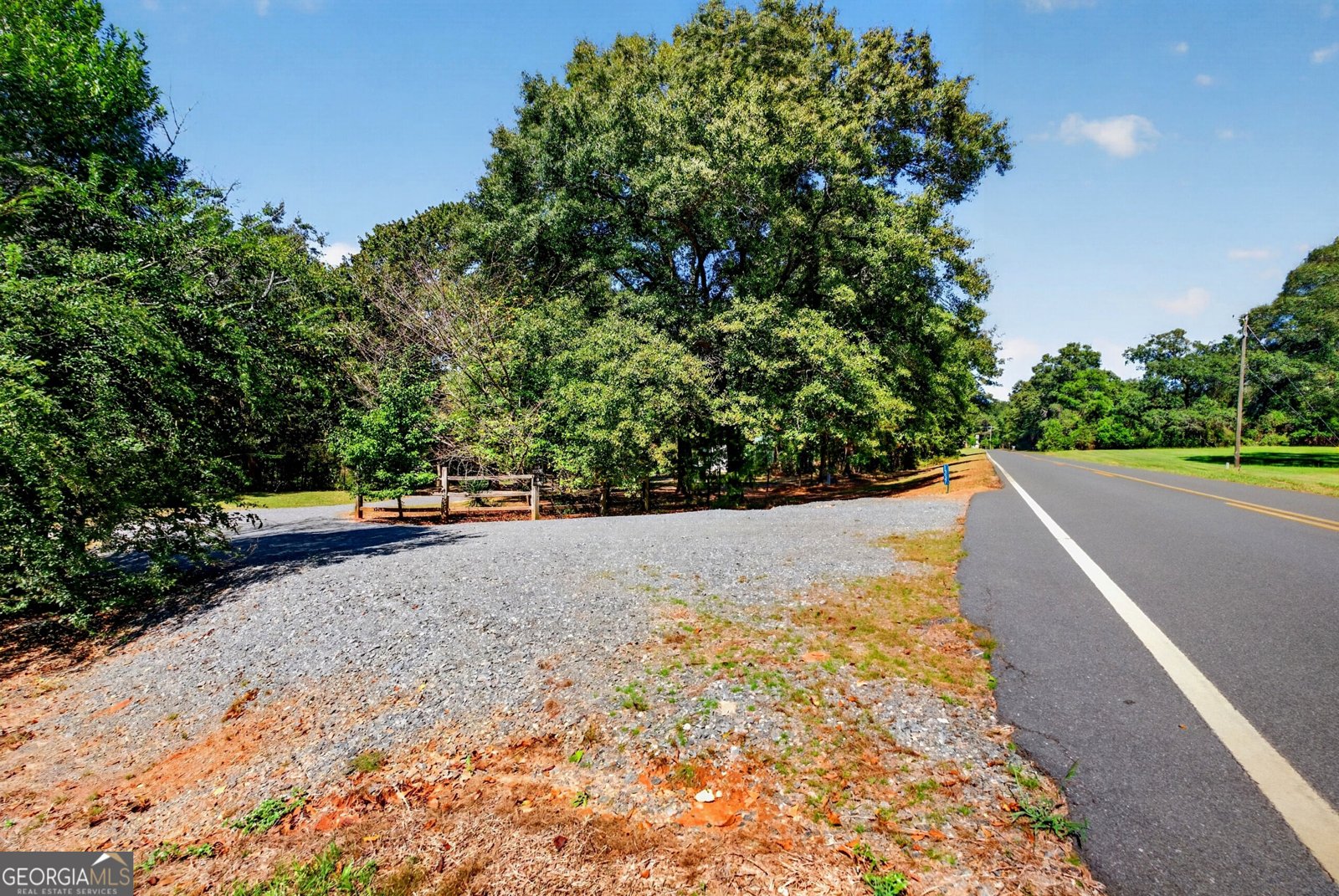 1337 Johnny Miller Road Buena Vista - Photo 10