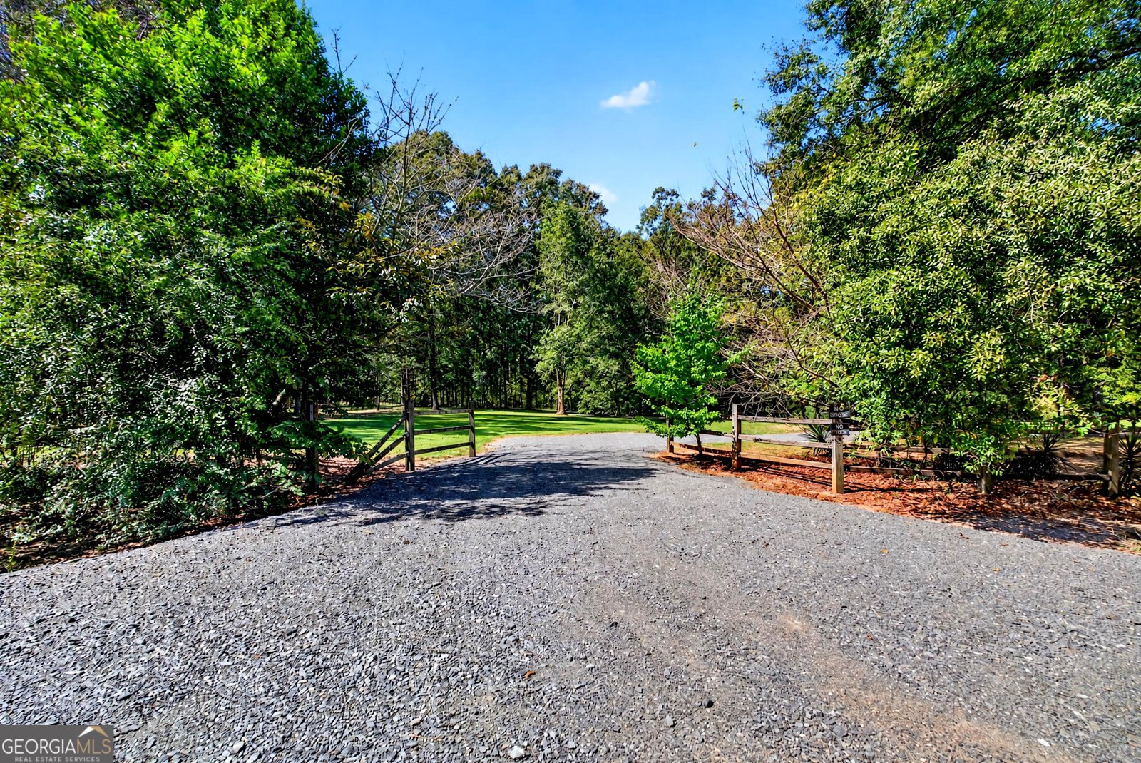 1337 Johnny Miller Road Buena Vista - Photo 11
