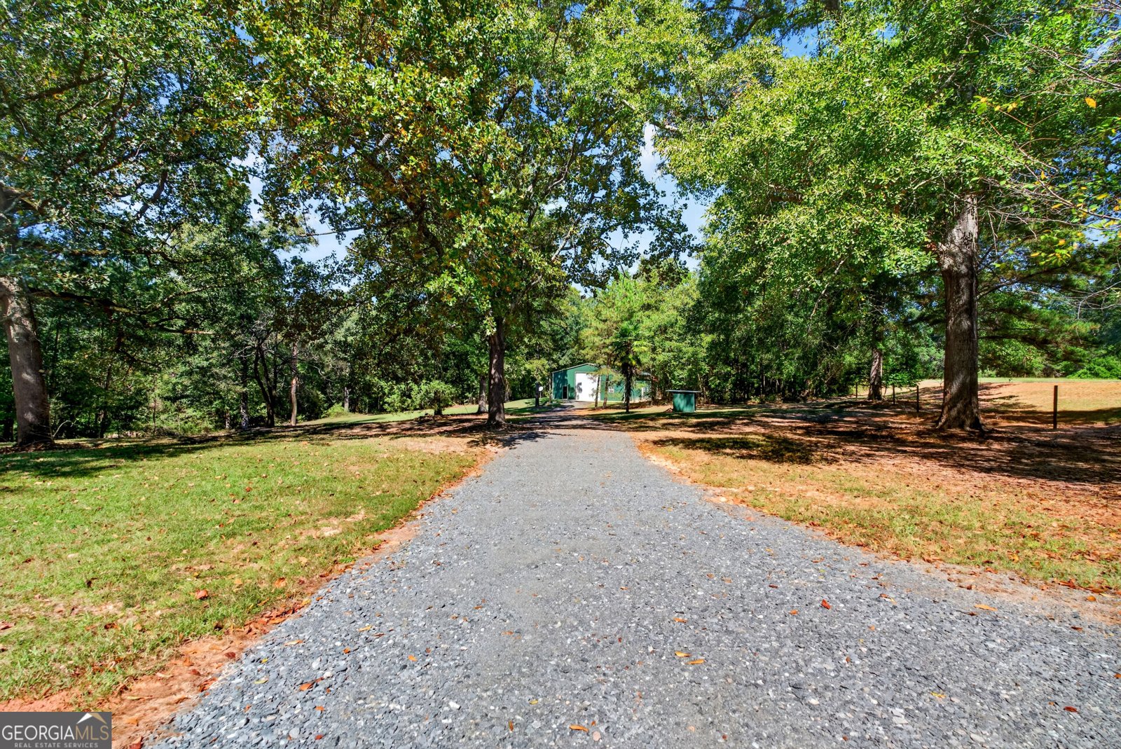 1337 Johnny Miller Road Buena Vista - Photo 12