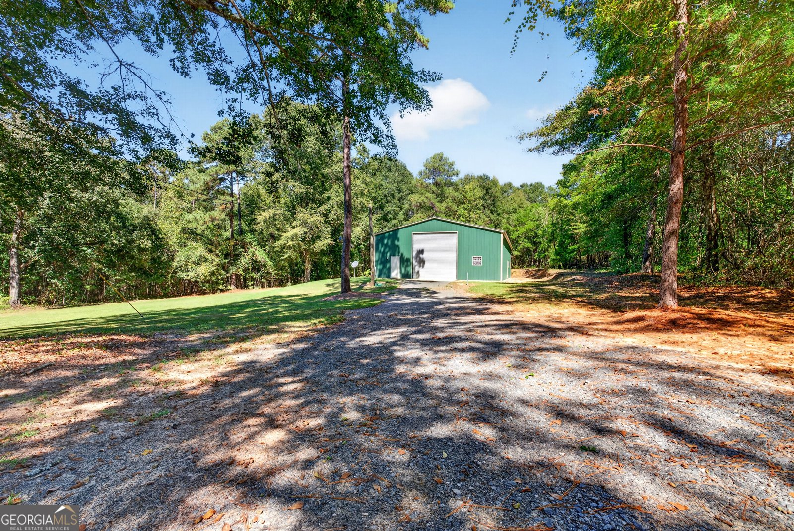 1337 Johnny Miller Road Buena Vista - Photo 13