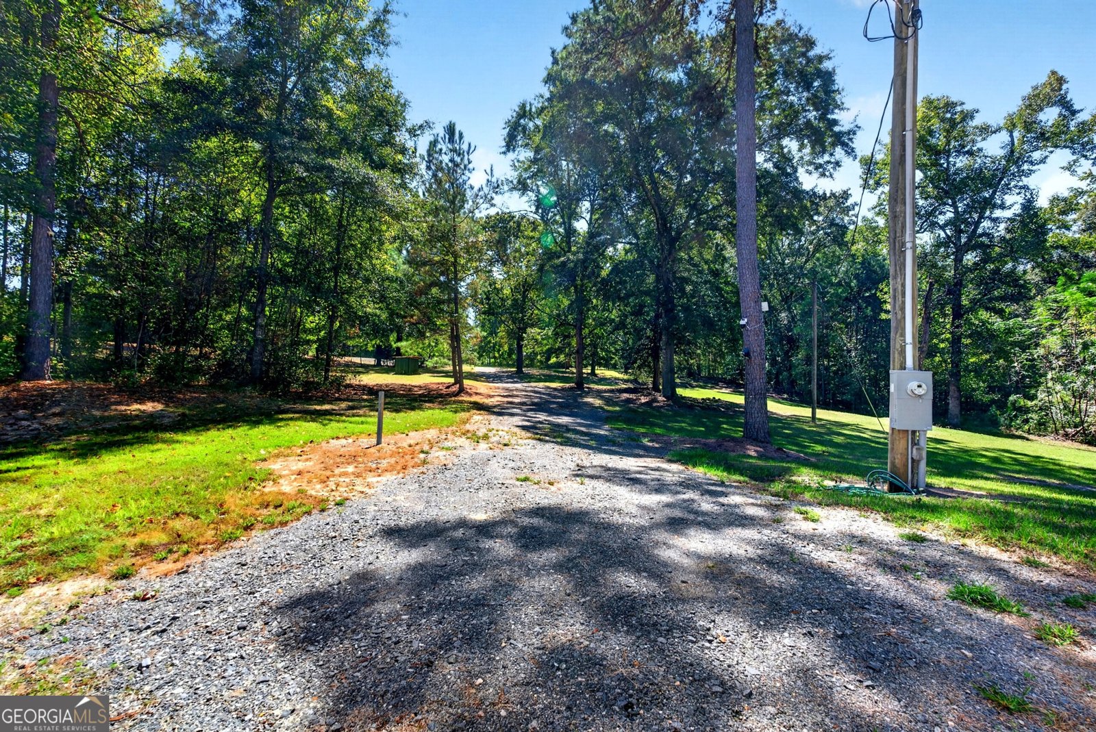 1337 Johnny Miller Road Buena Vista - Photo 17