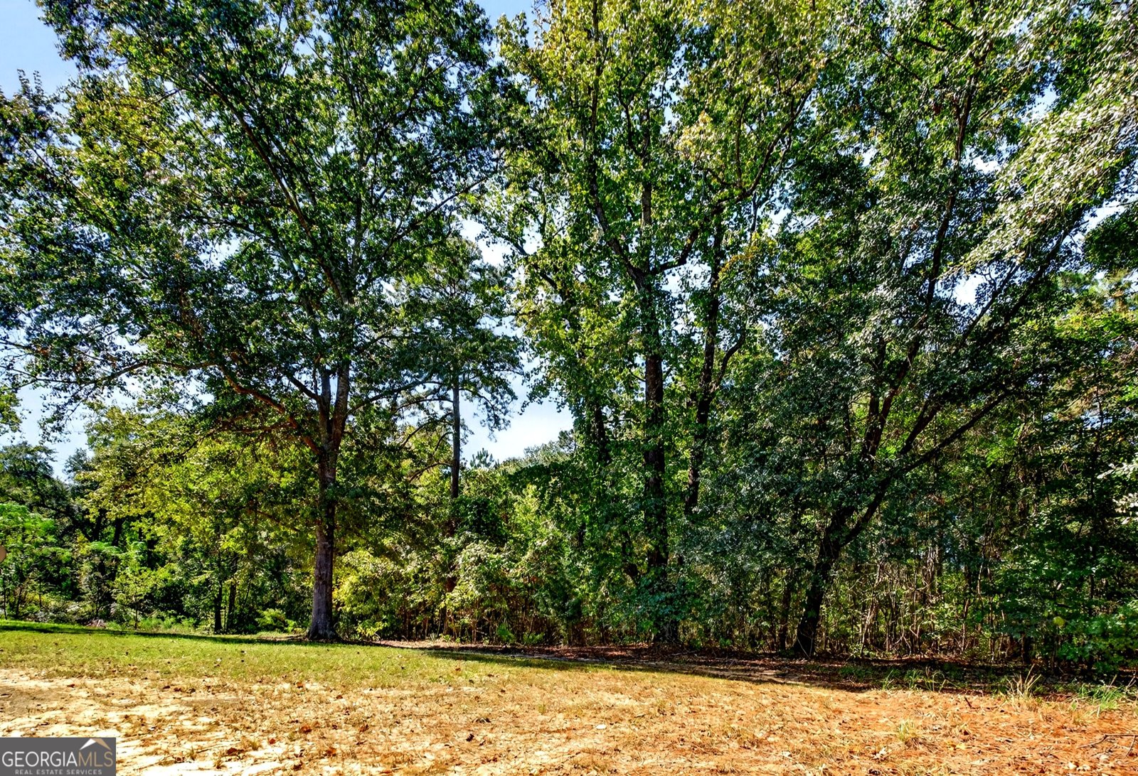 1337 Johnny Miller Road Buena Vista - Photo 41