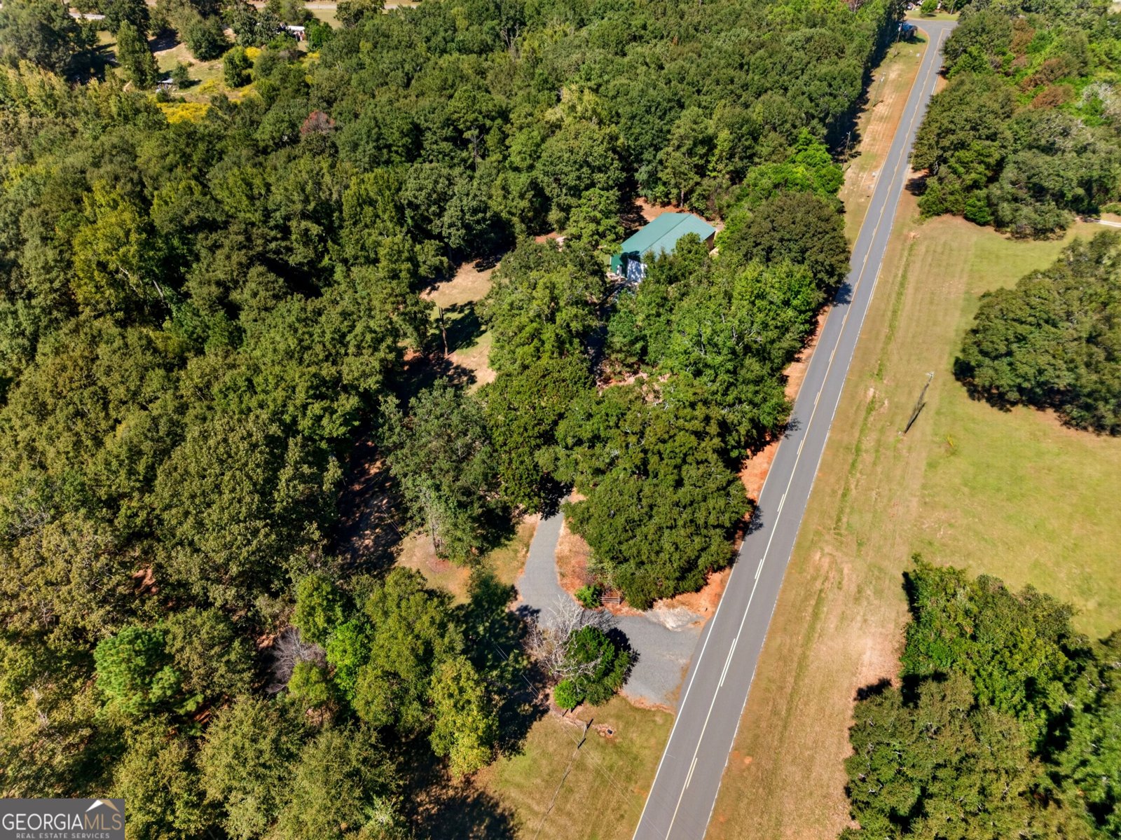 1337 Johnny Miller Road Buena Vista - Photo 7