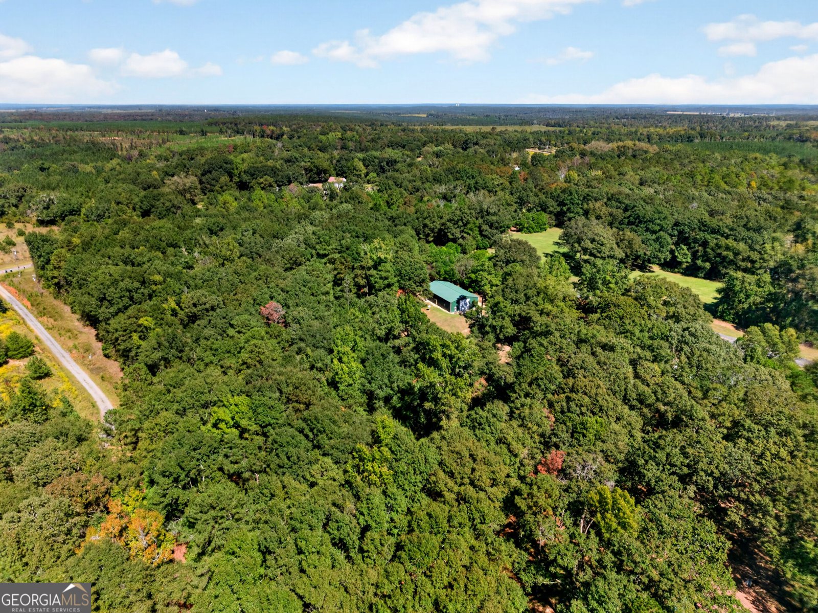 1337 Johnny Miller Road Buena Vista - Photo 9