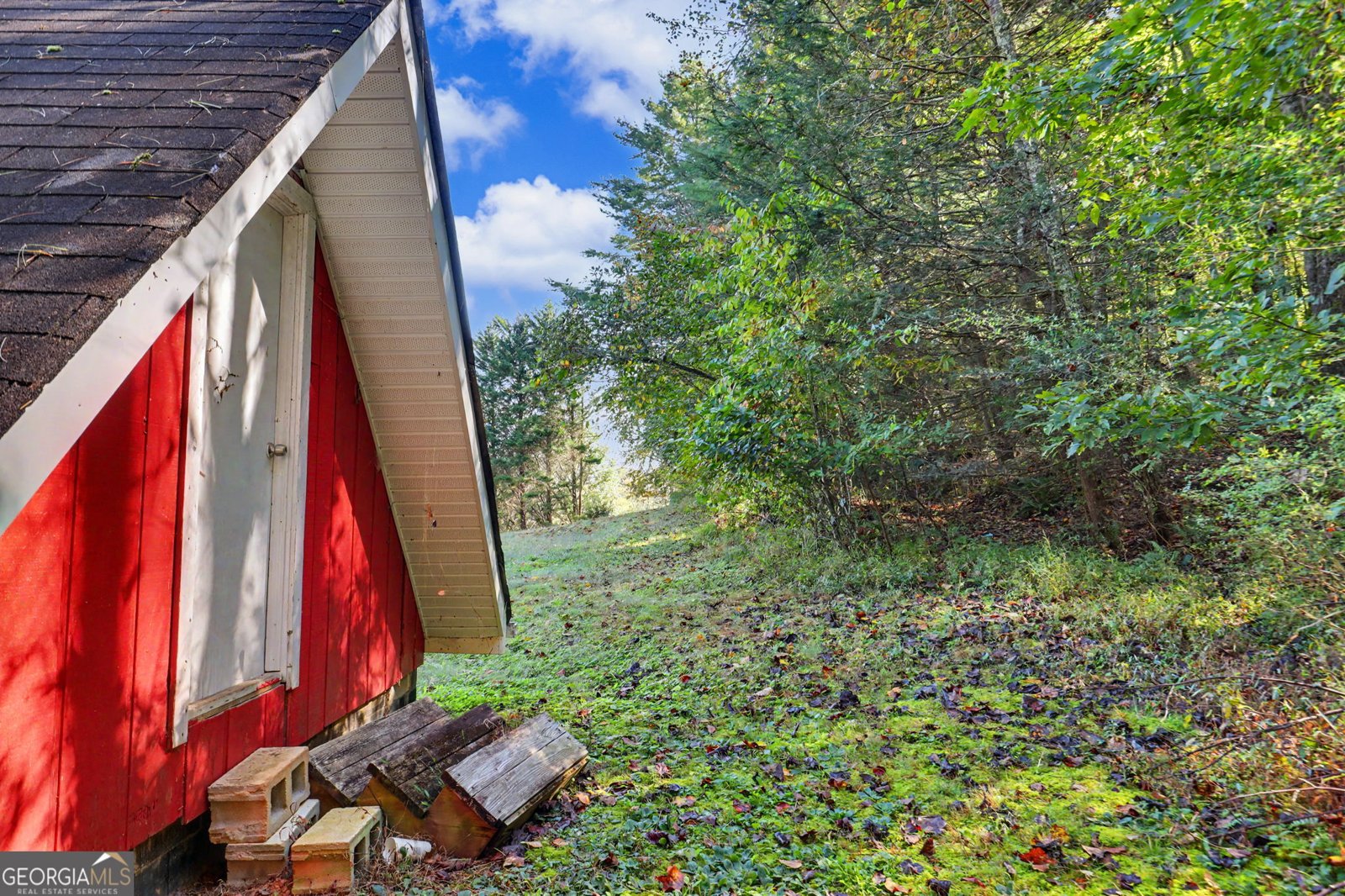 5337 Blue Ridge Highway Blairsville - Photo 44