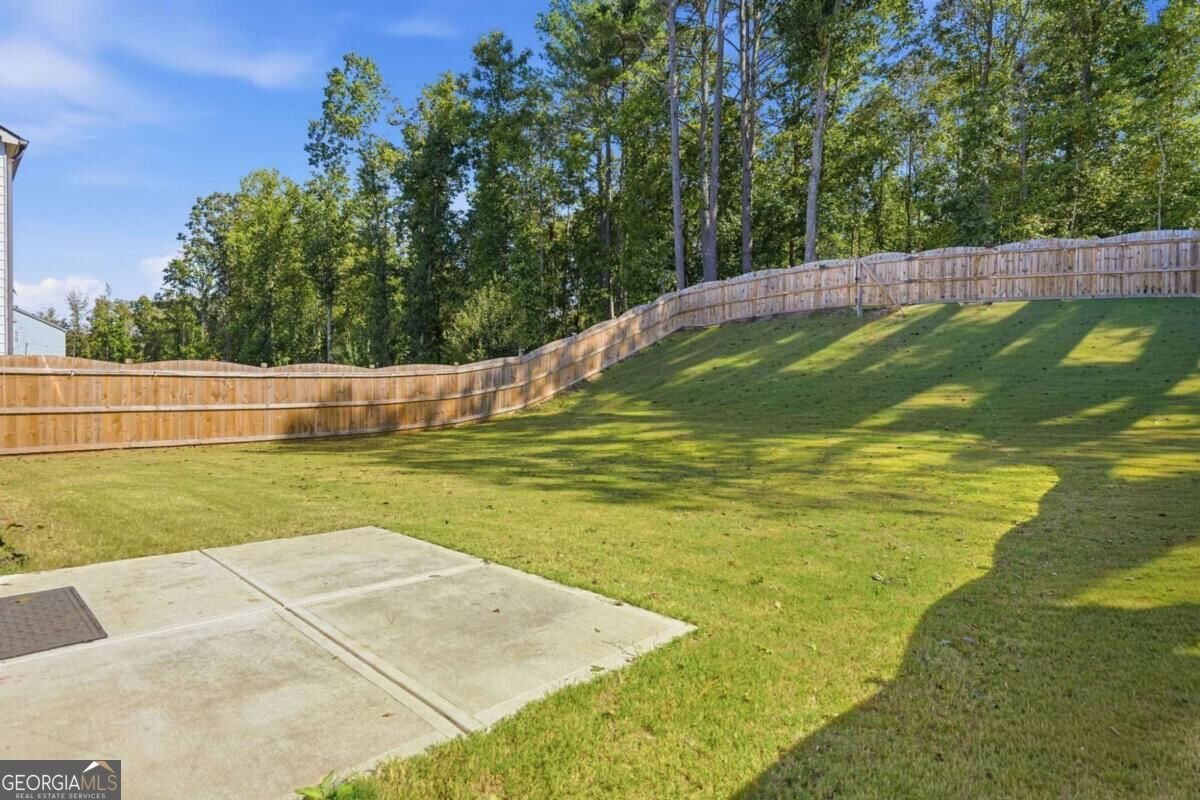 330 Shadwood Place Dawsonville - Photo 29