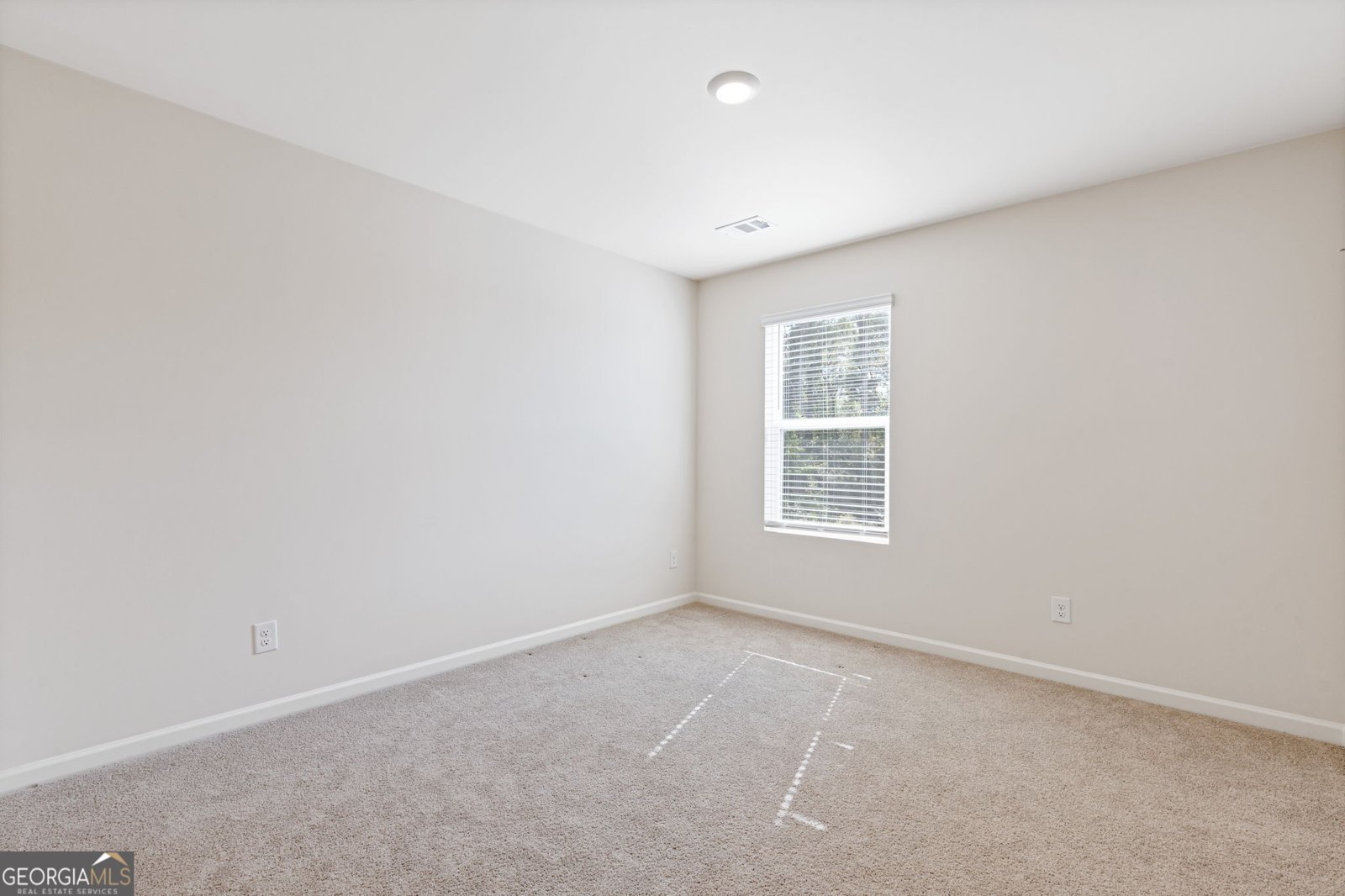 6000 Screech Owl Drive Flowery Branch - Photo 28