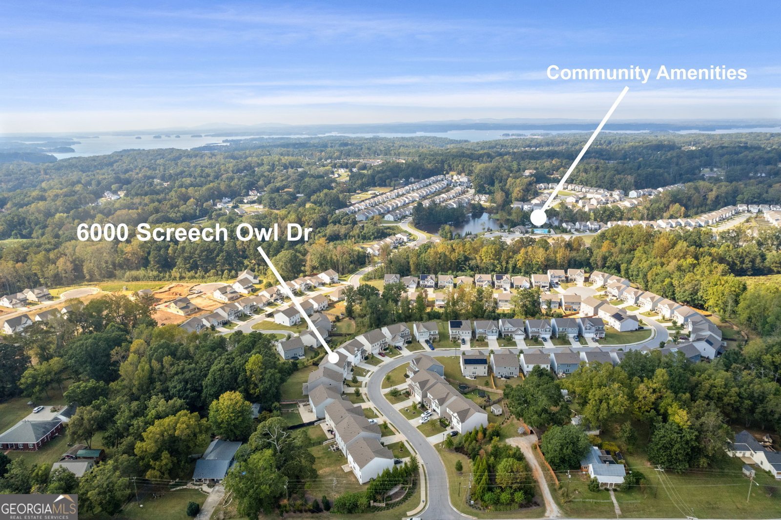 6000 Screech Owl Drive Flowery Branch - Photo 47
