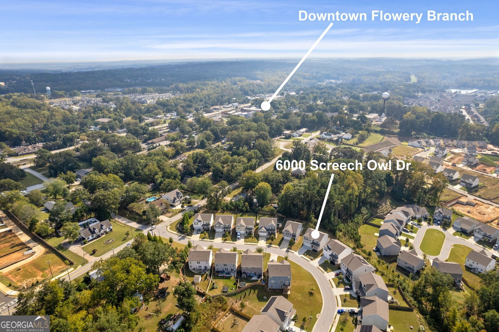 6000 Screech Owl Drive Flowery Branch - Photo 48
