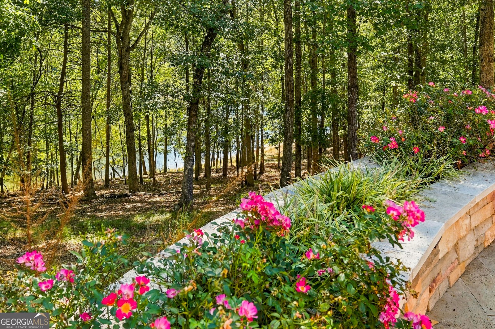 6225 Random Winds Bluff Gainesville - Photo 46