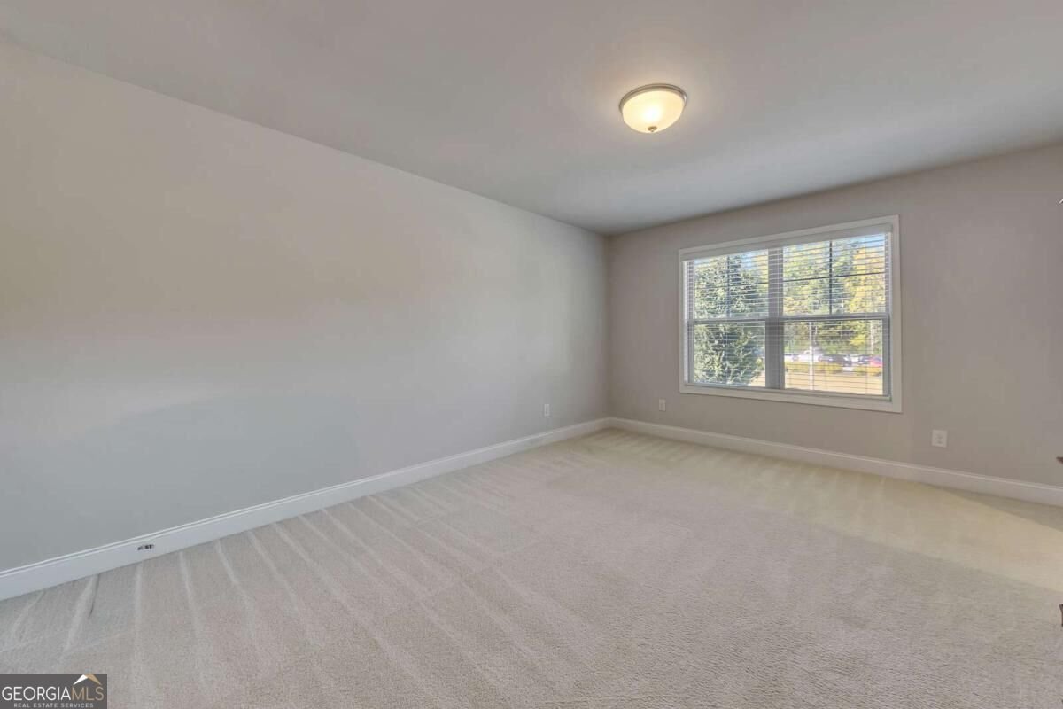 201 Jonquil Spring Road Woodstock - Photo 21