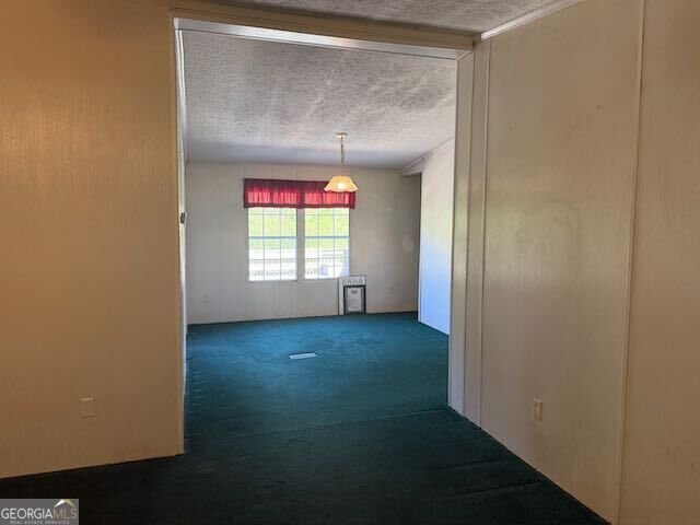 10270 Ga Hwy 15 Warthen - Photo 12