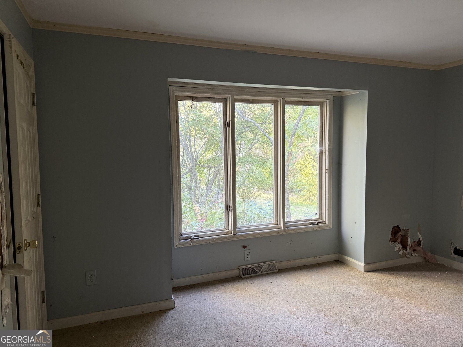 8679 Pea Ridge Road Cornelia - Photo 10
