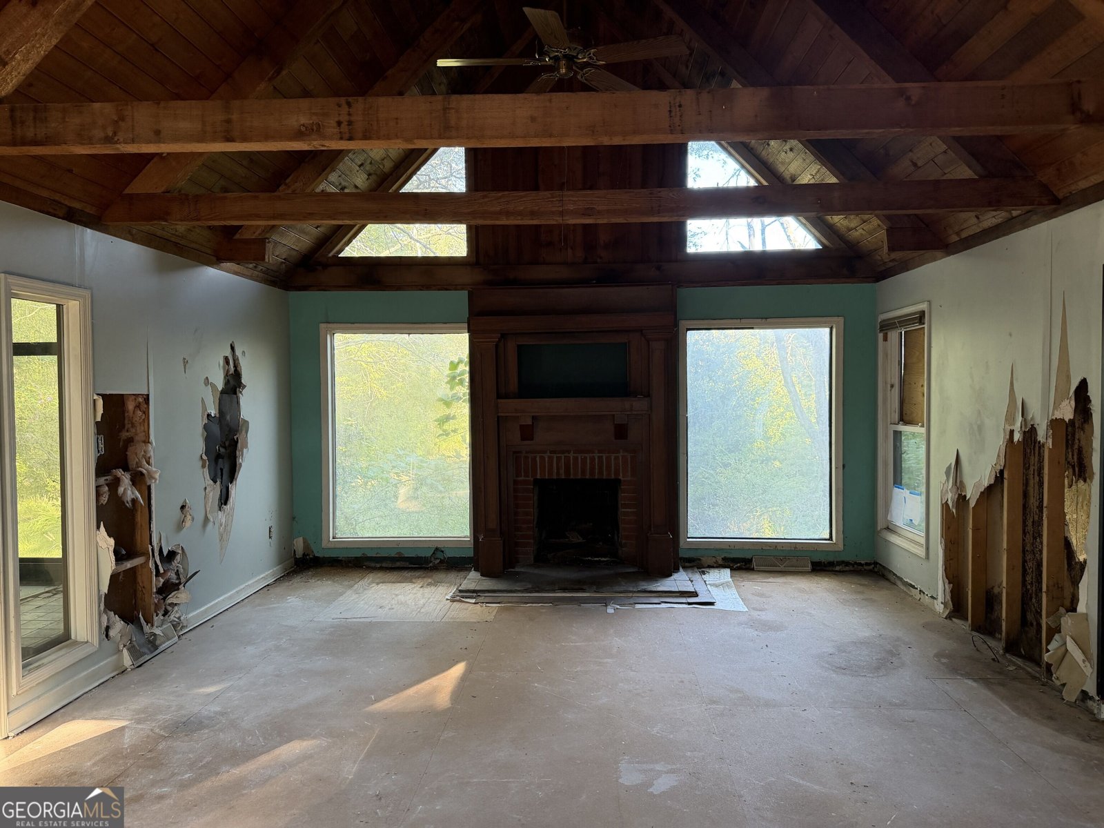 Photo 5