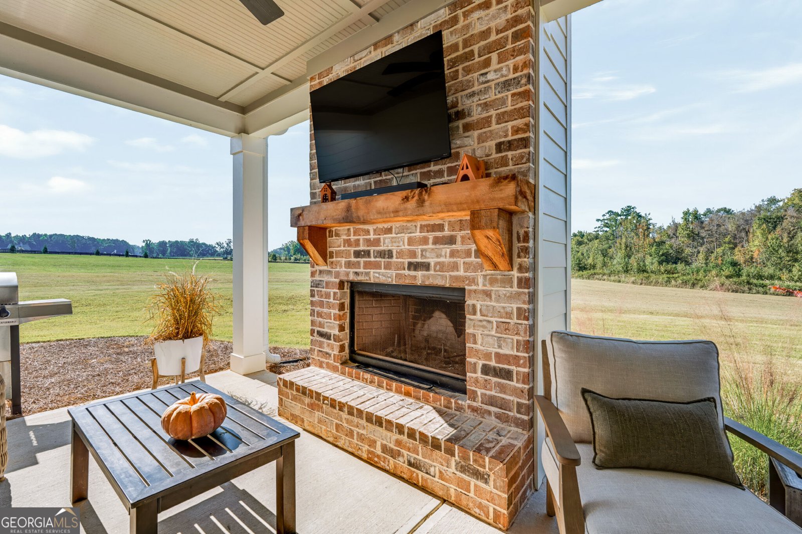 689 Elders Mill Road Senoia - Photo 59