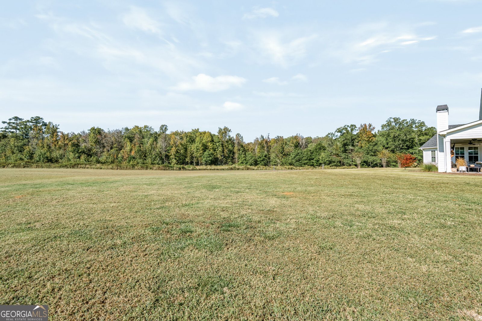 689 Elders Mill Road Senoia - Photo 62