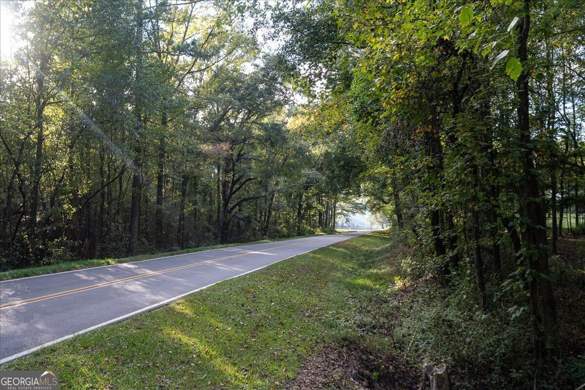 372 Salem Church Road Lexington - Photo 47