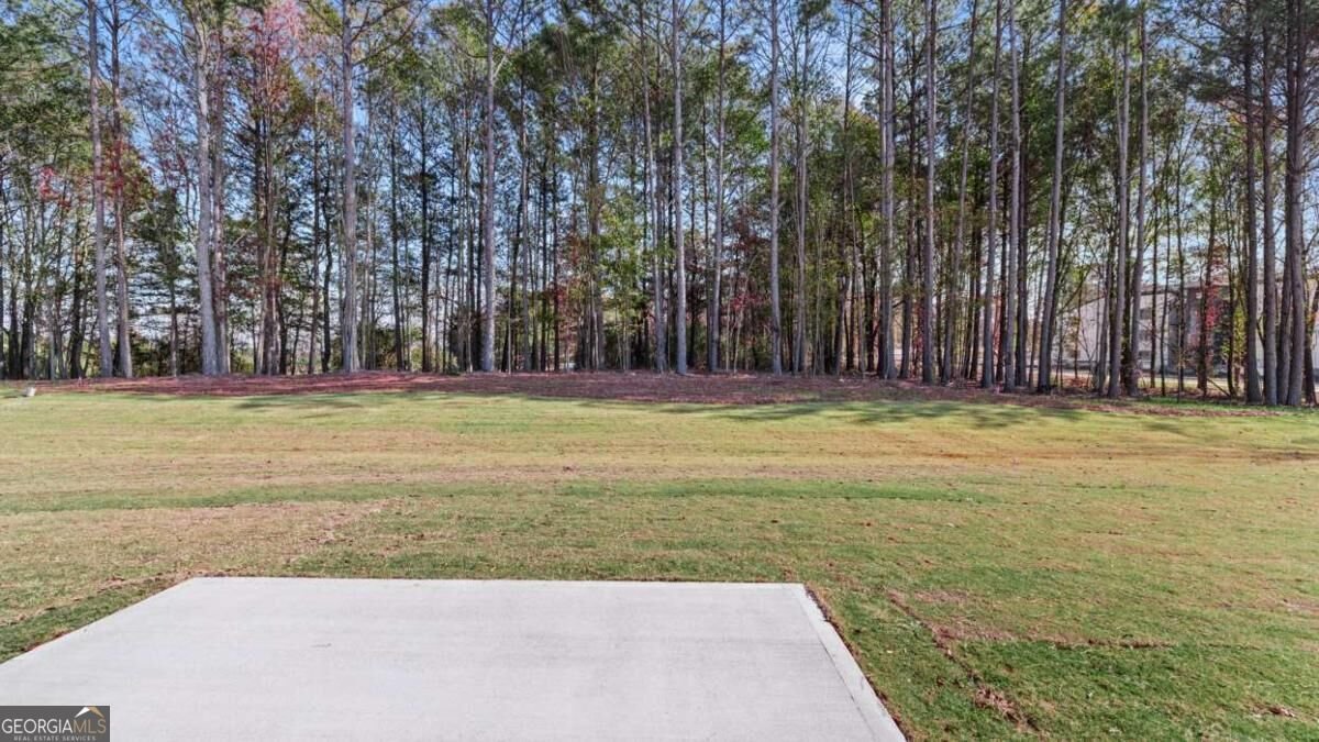 142 White Spruce Way Newnan - Photo 16