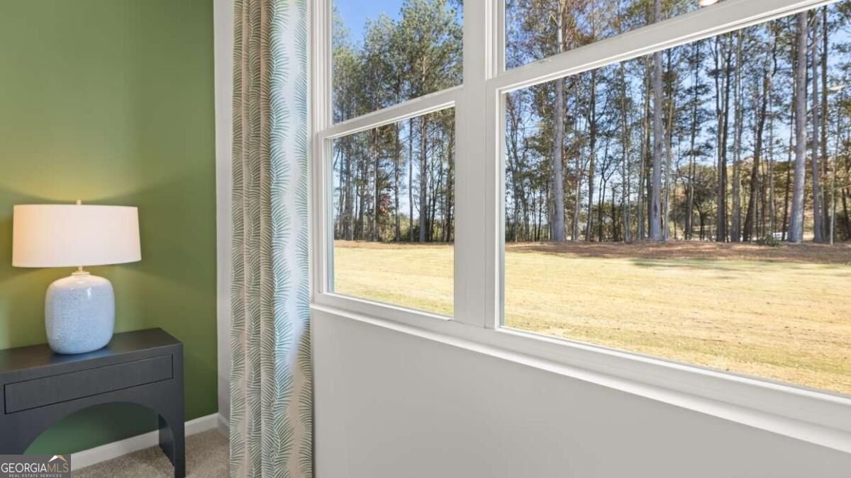 142 White Spruce Way Newnan - Photo 29