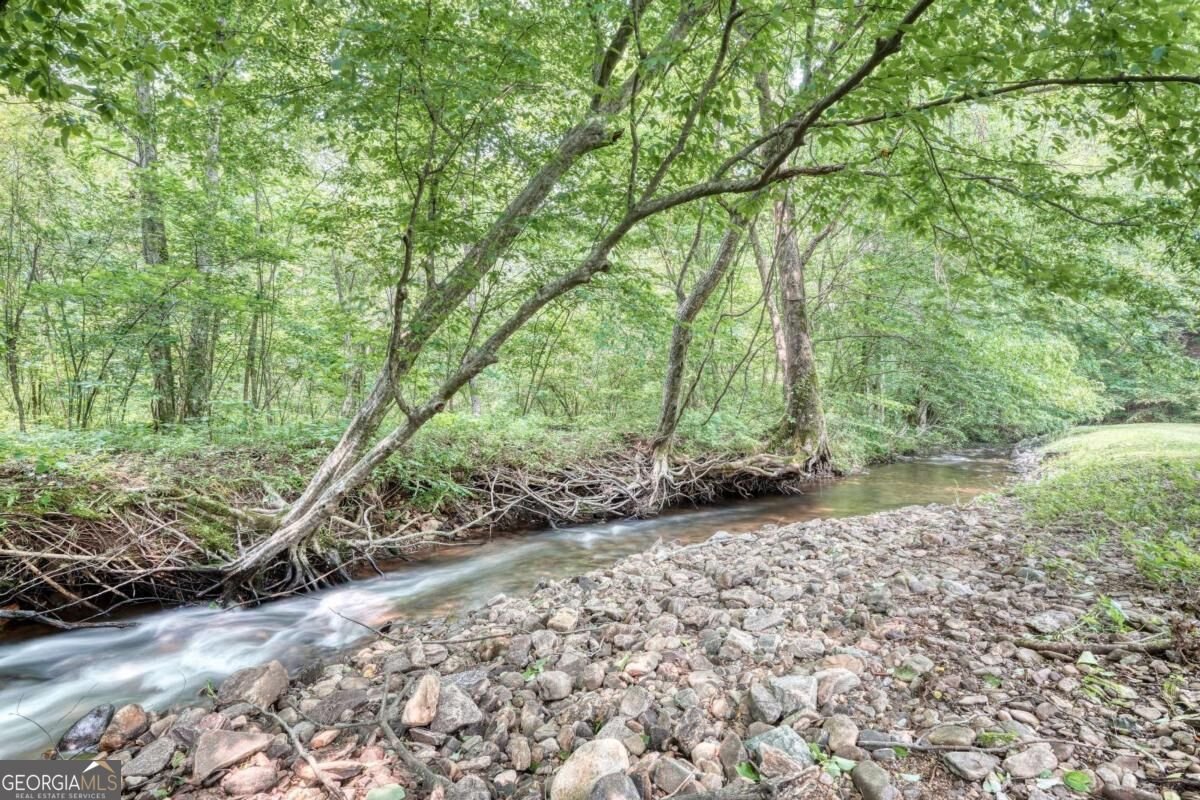 49 Sunshine Street Blairsville - Photo 52