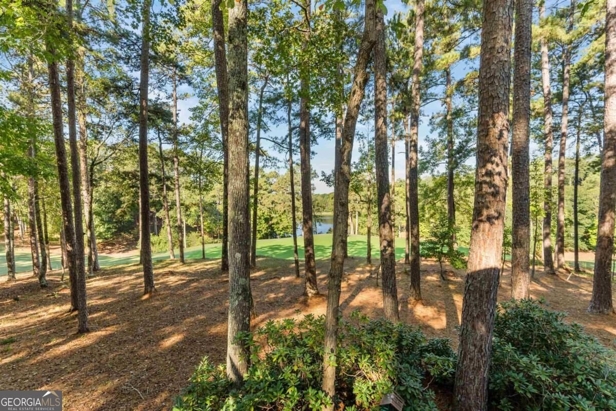 1181 Shoulderbone Circle Greensboro - Photo 66