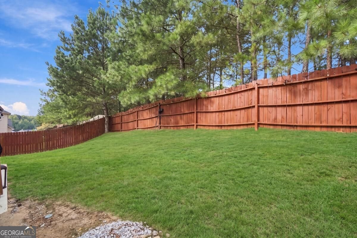 3603 River Rock Road Lithonia - Photo 19