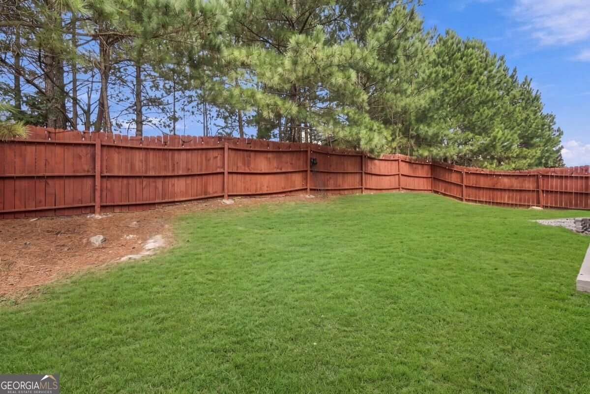 3603 River Rock Road Lithonia - Photo 33