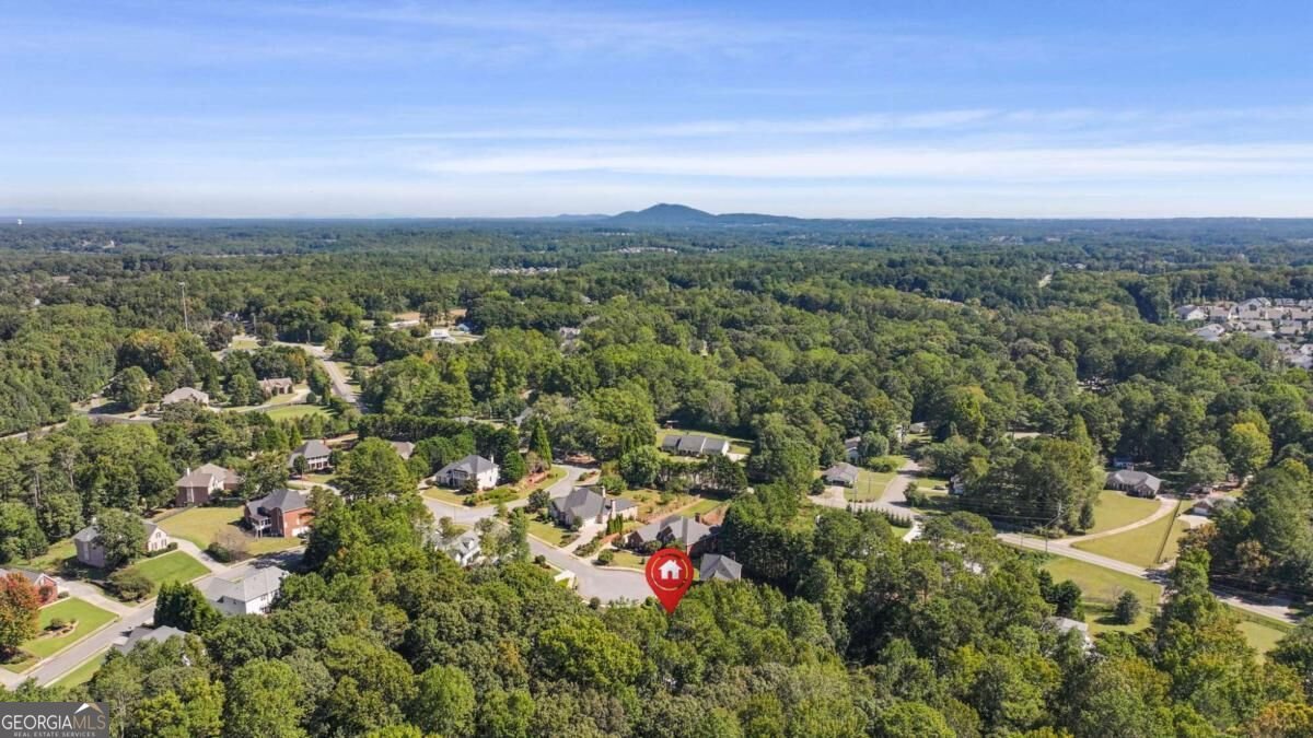 305 Ivy Brook Court Alpharetta - Photo 97