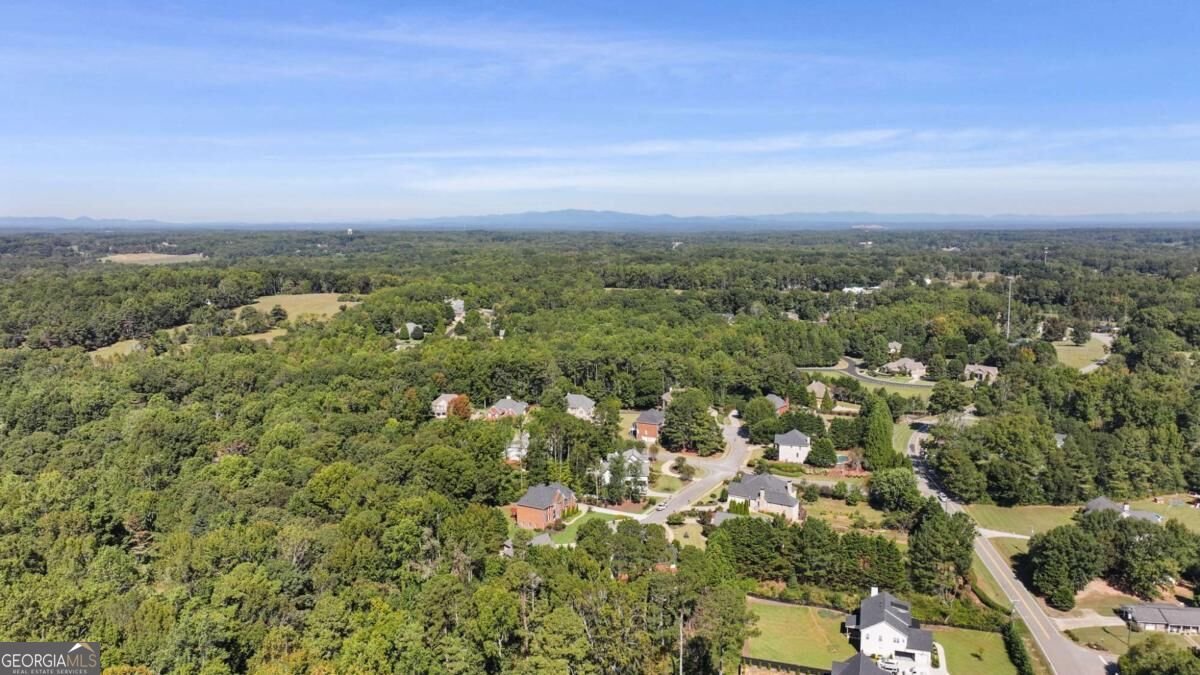 305 Ivy Brook Court Alpharetta - Photo 98