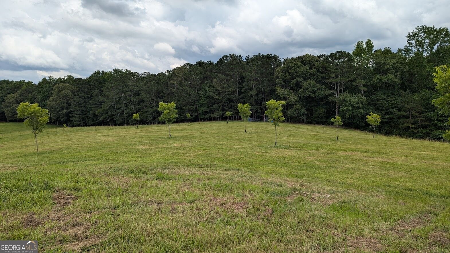 500 Coleman Mill Road Carrollton - Photo 66