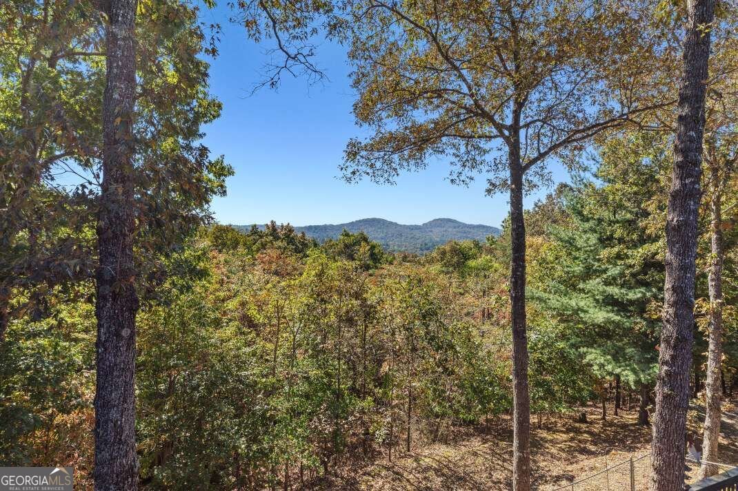 65 Knollwood Glen Mineral Bluff - Photo 20
