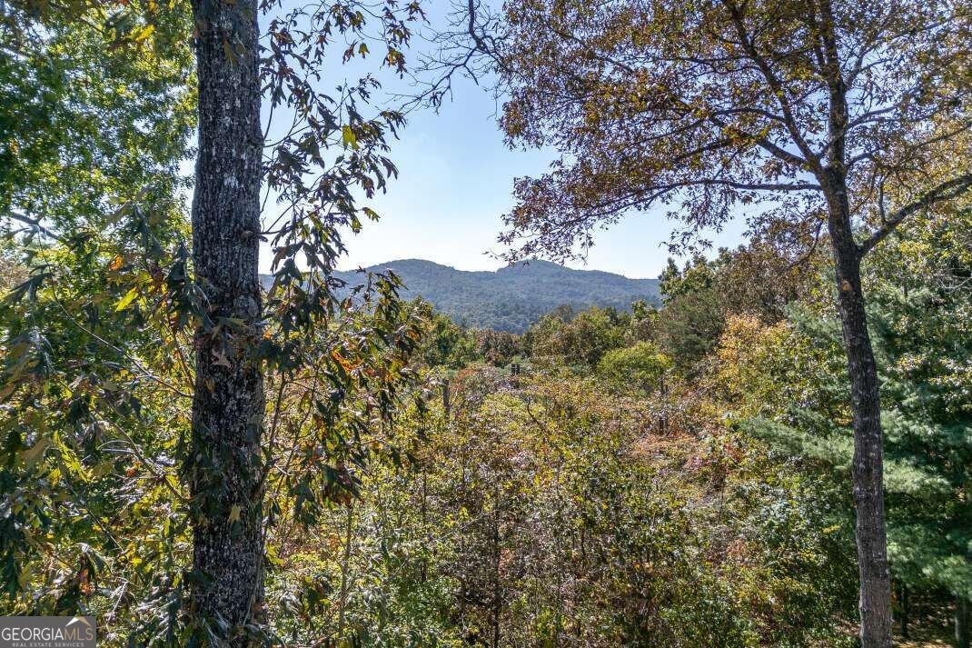 65 Knollwood Glen Mineral Bluff - Photo 38
