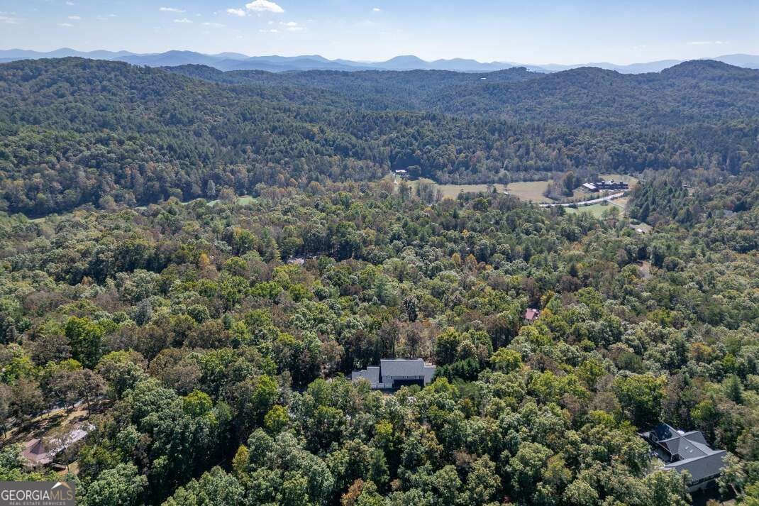 65 Knollwood Glen Mineral Bluff - Photo 40