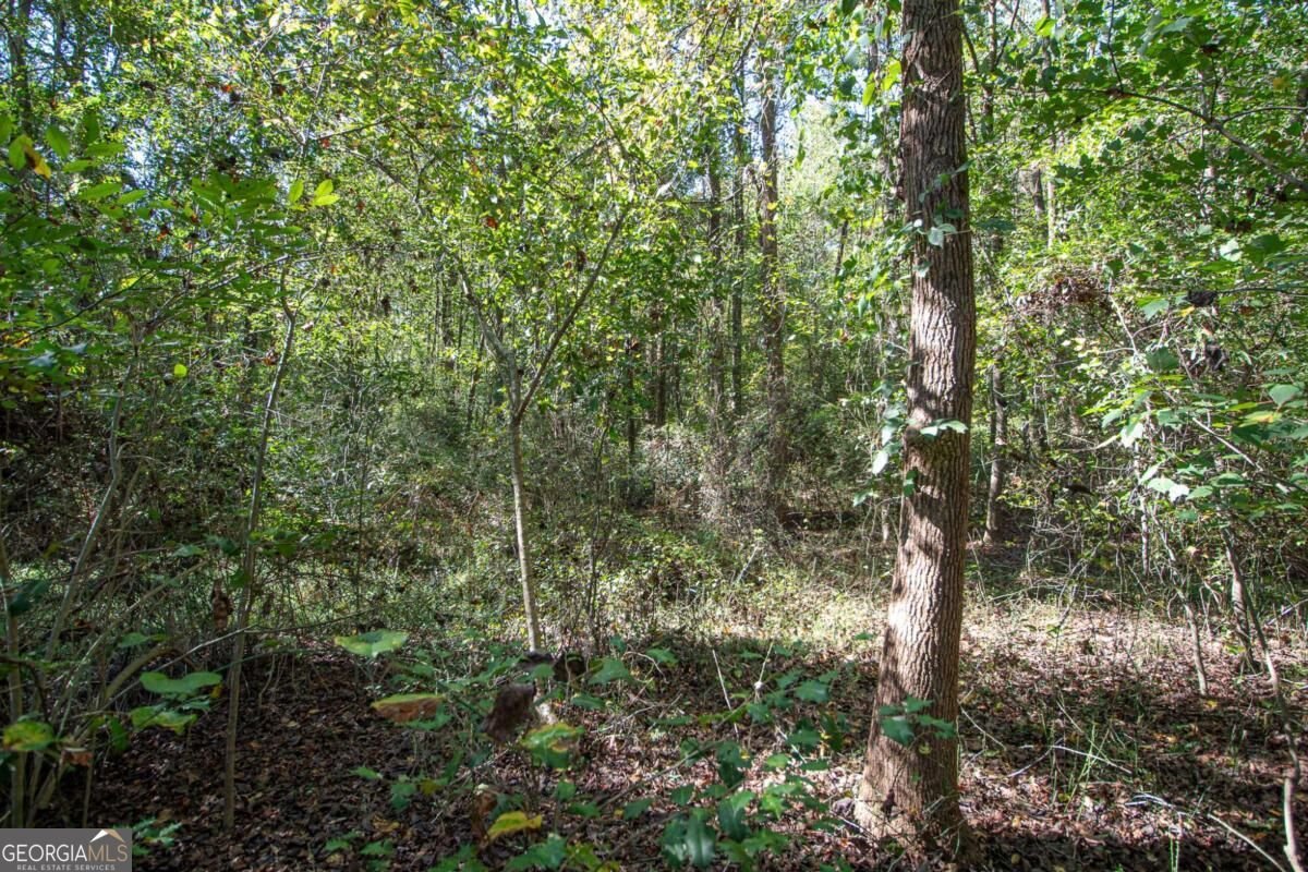 582 County Line Road Danielsville - Photo 40