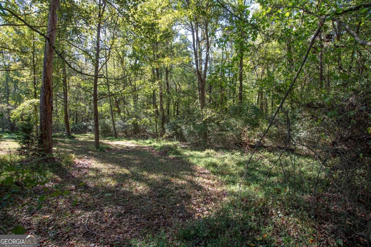 582 County Line Road Danielsville - Photo 41
