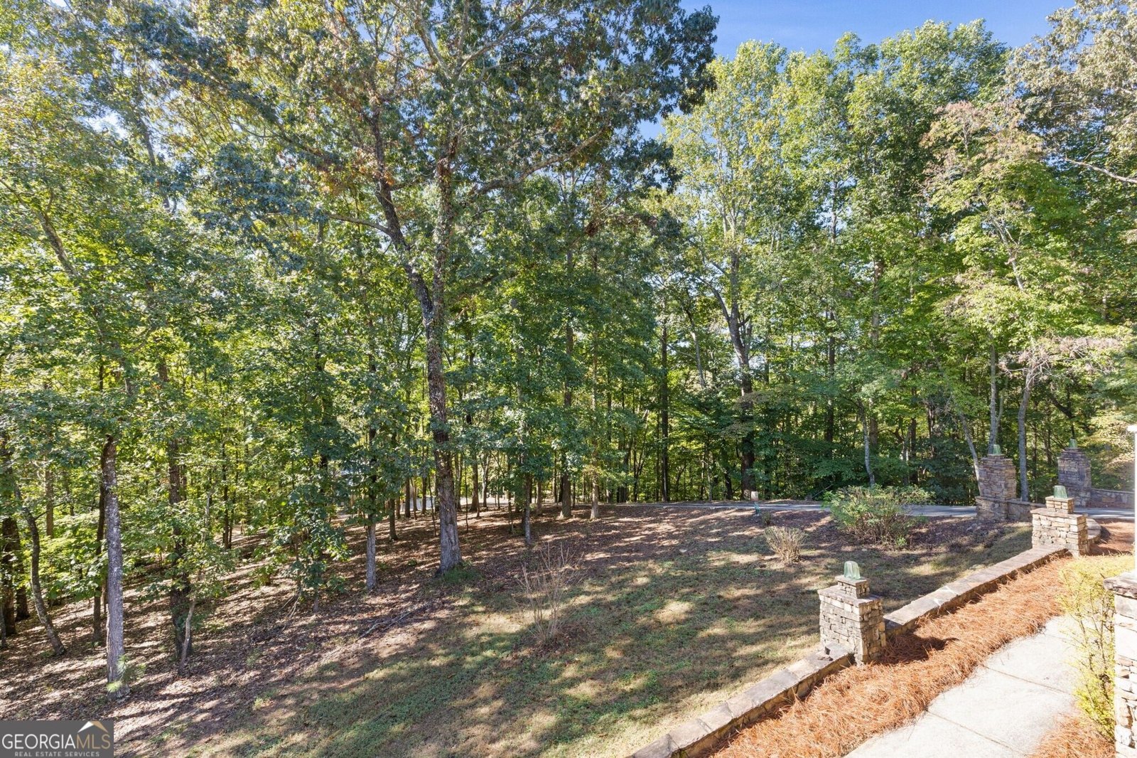 444 Brights Way Dawsonville - Photo 57