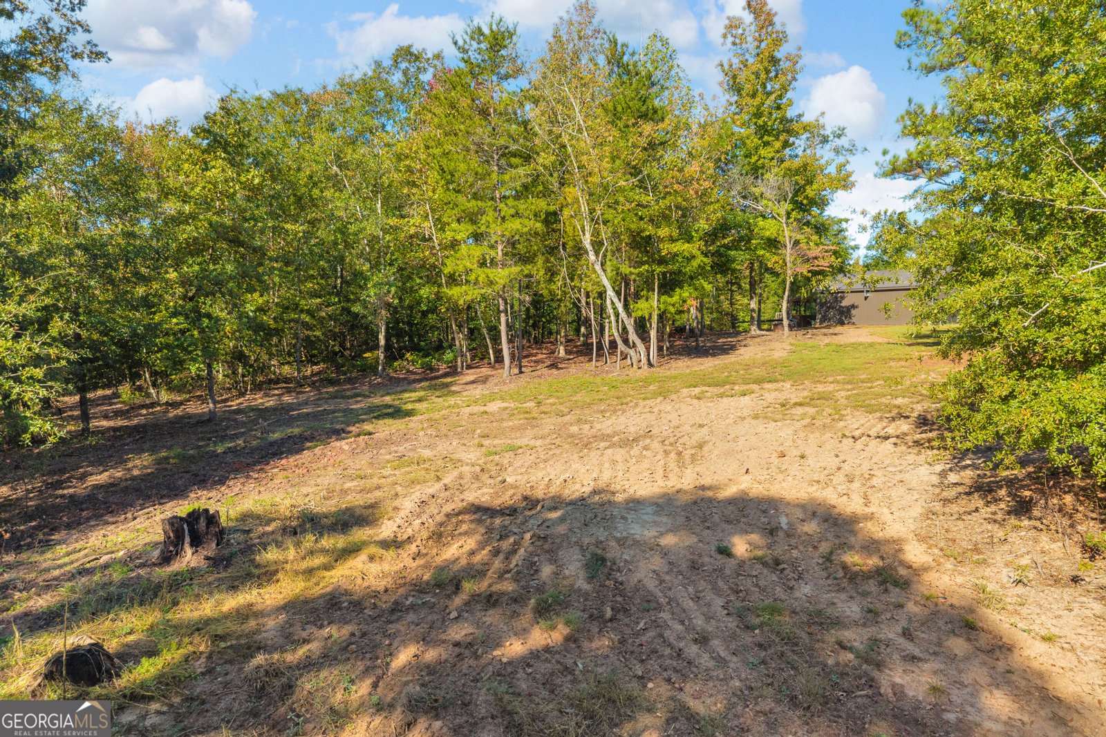 1715 Beacon Light Road Hartwell - Photo 80