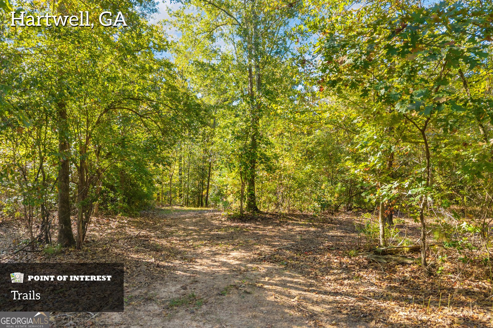 1715 Beacon Light Road Hartwell - Photo 81