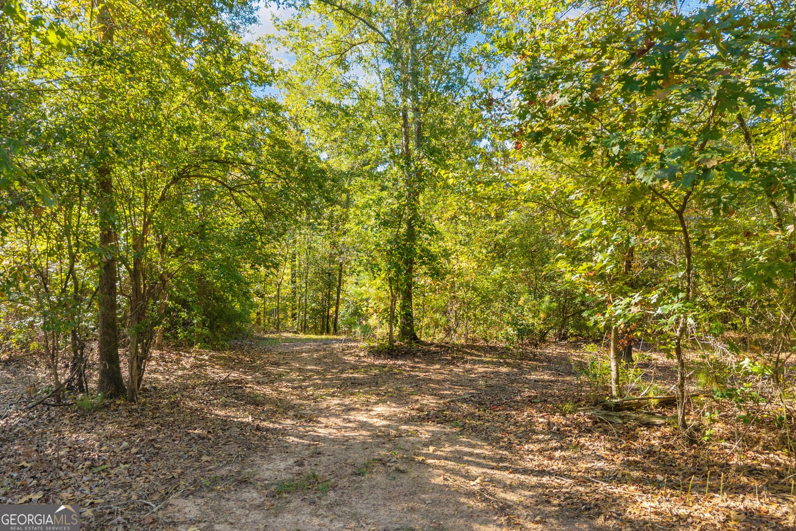 1715 Beacon Light Road Hartwell - Photo 82
