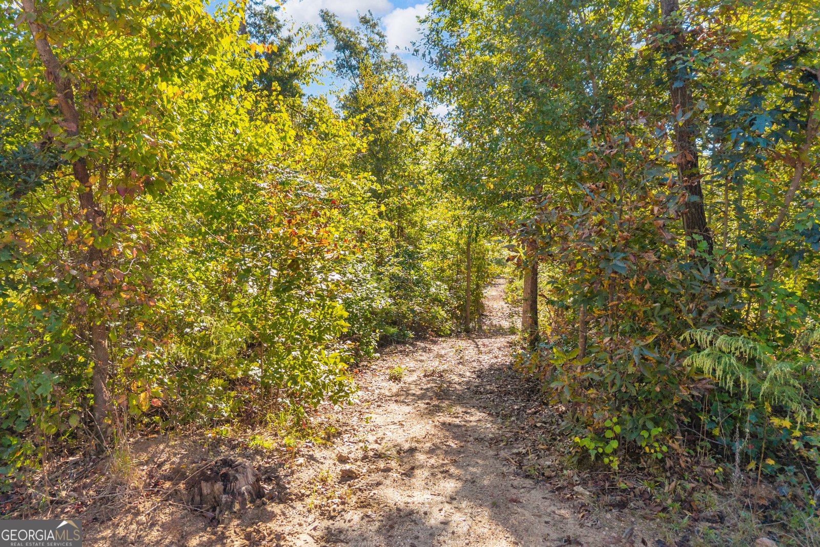 1715 Beacon Light Road Hartwell - Photo 83