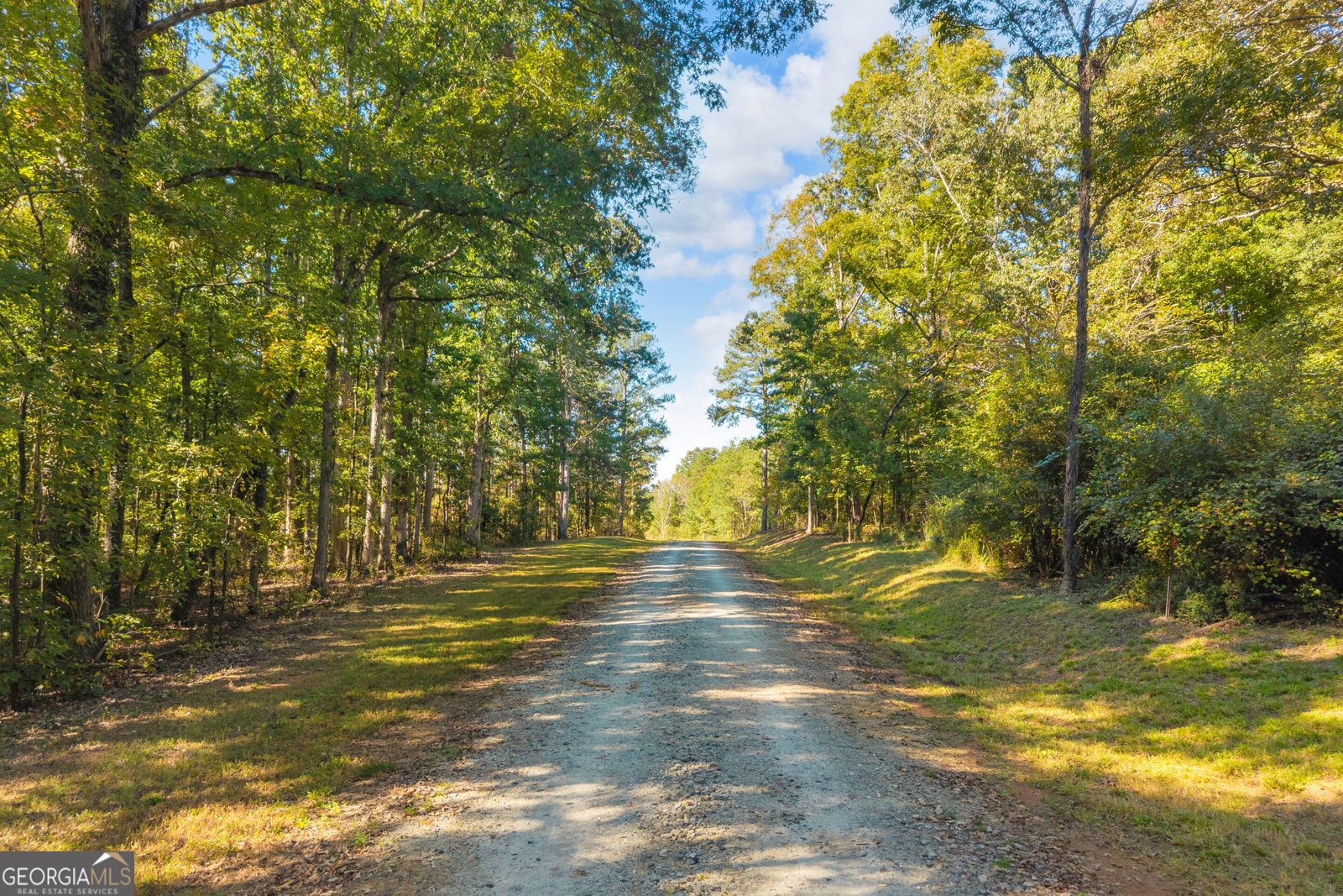 1715 Beacon Light Road Hartwell - Photo 84