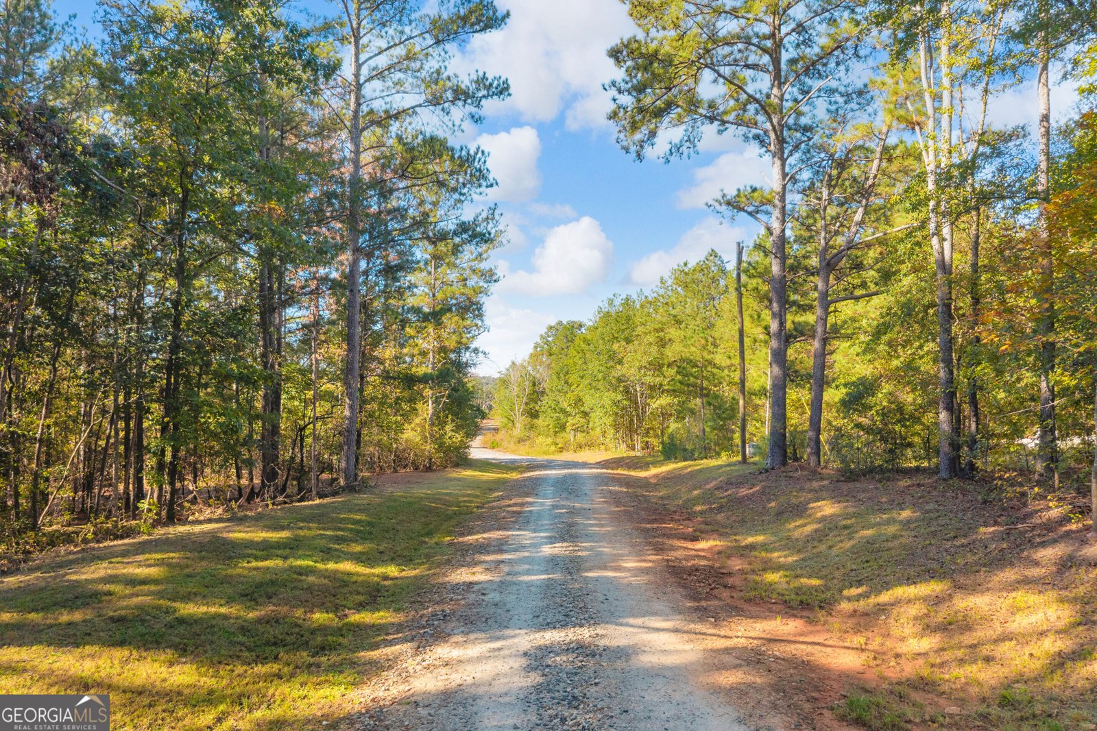 1715 Beacon Light Road Hartwell - Photo 85