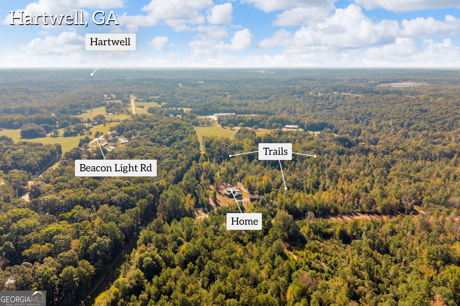 1715 Beacon Light Road Hartwell - Photo 88