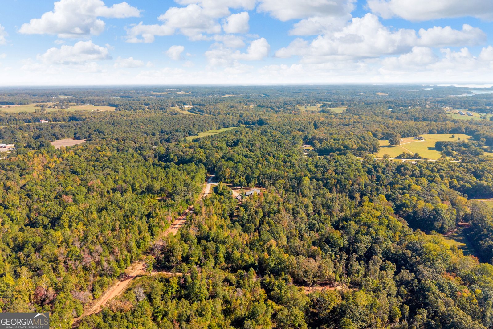 1715 Beacon Light Road Hartwell - Photo 90