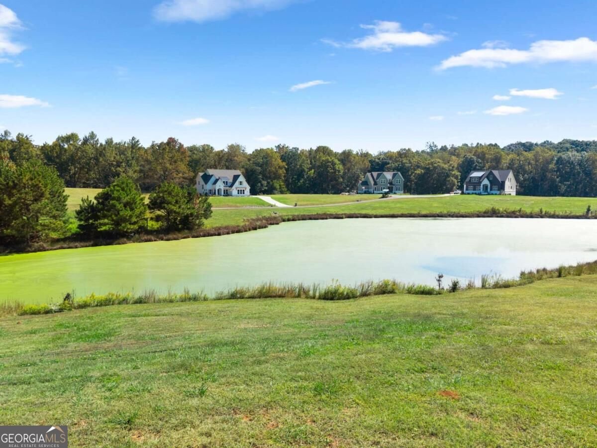 6530 Brooks Pond Trl Cumming - Photo 42